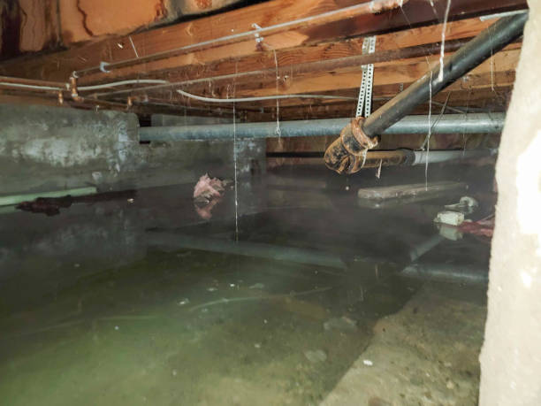 Best Ceiling water damage repair  in Wendell, NC
