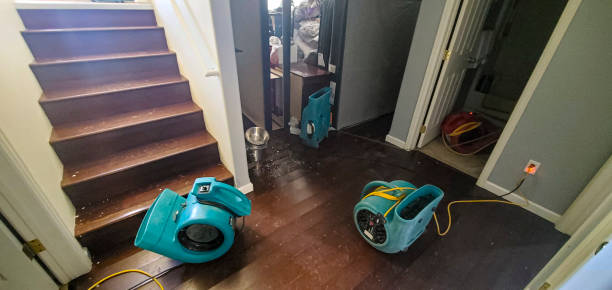 Best Flood damage cleanup  in Wendell, NC