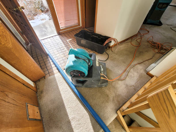 Best Water damage contractors near me  in Wendell, NC