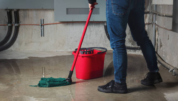 Best Flooded house restoration  in Wendell, NC