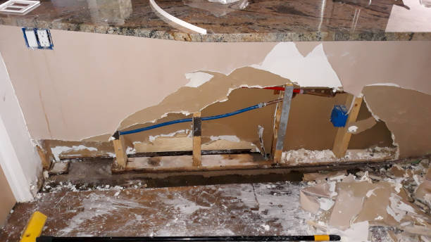 Best Water damage restoration company  in Wendell, NC