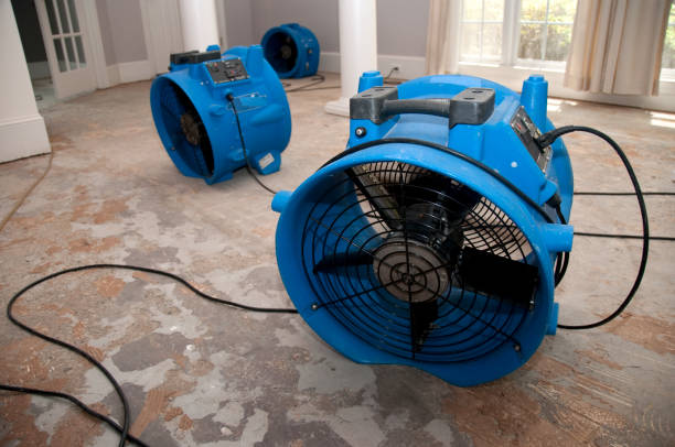 Best Water damage restoration near me  in Wendell, NC