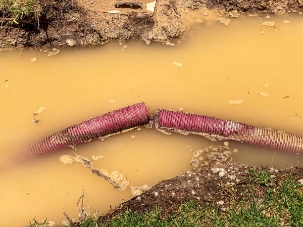 Best Water damage restoration cost  in Wendell, NC