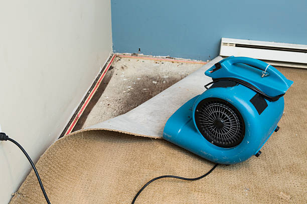 Best Water damage restoration experts  in Wendell, NC